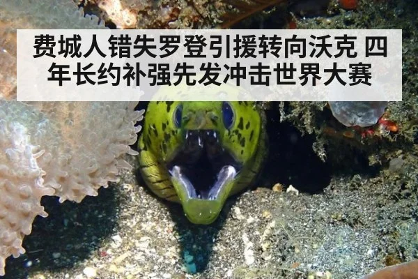 费城人错失罗登引援转向沃克 四年长约补强先发冲击世界大赛